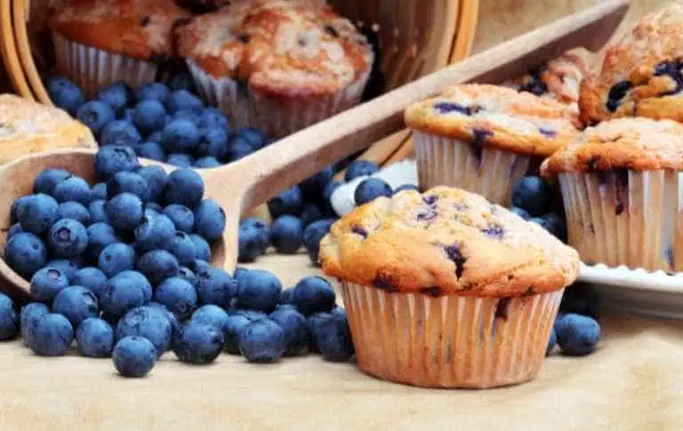 Can gerbils eat blueberries muffin