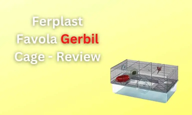 Ferplast Favola Gerbil Cage - Review